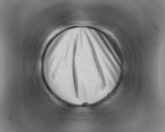 X0000113321424200910131119