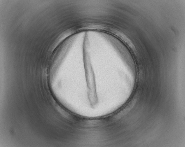 X0000113321425200910131119