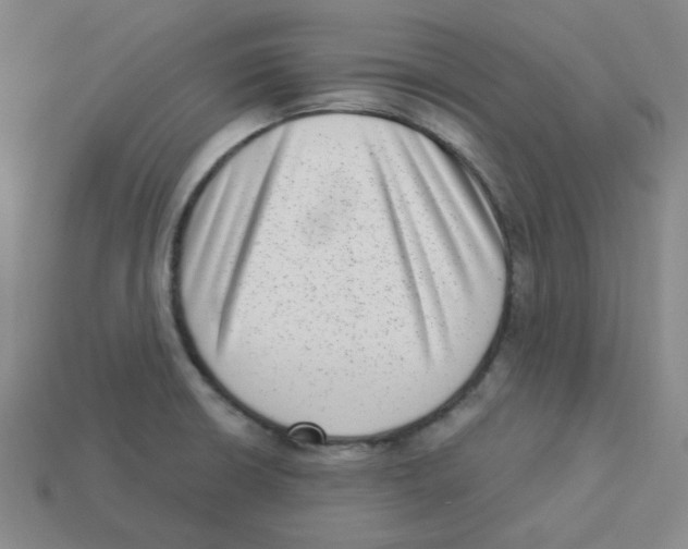 X0000113321426200910131119