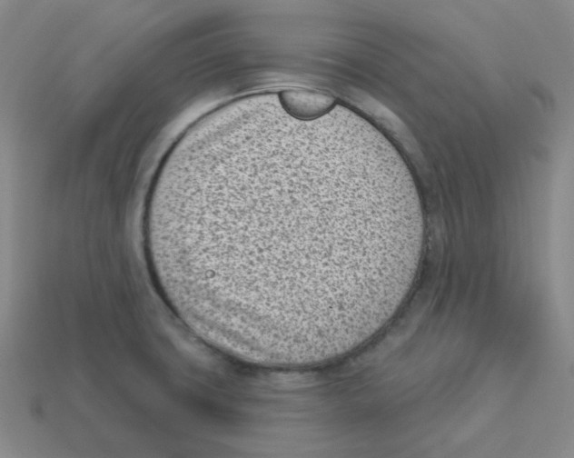 X0000113321427200910131119