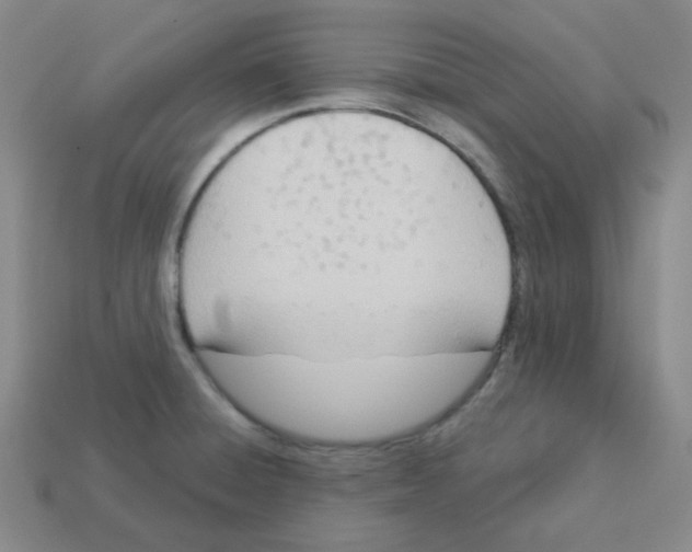 X0000113321428200910131119