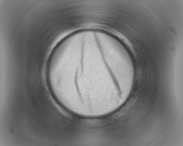 X0000113321429200910131119