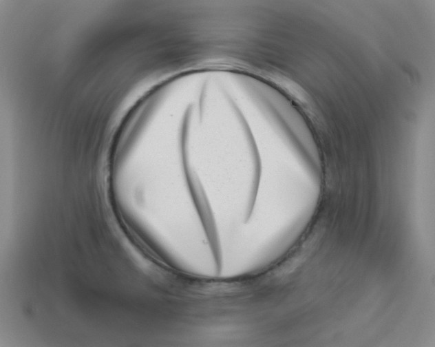 X0000113321430200910131119