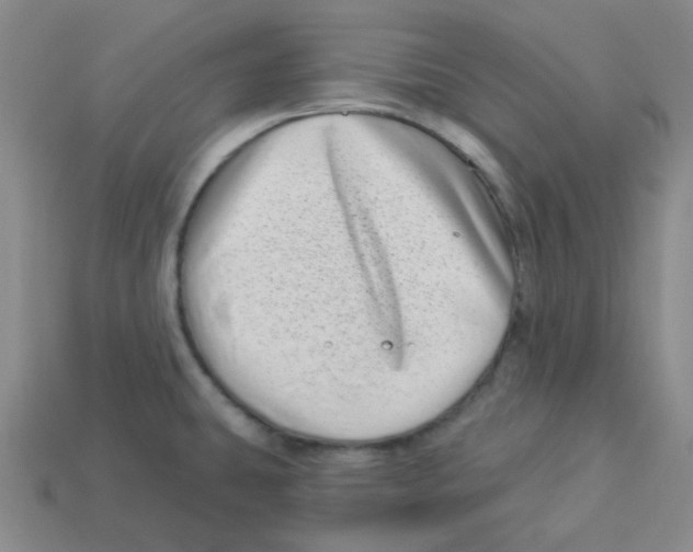 X0000113321431200910131119