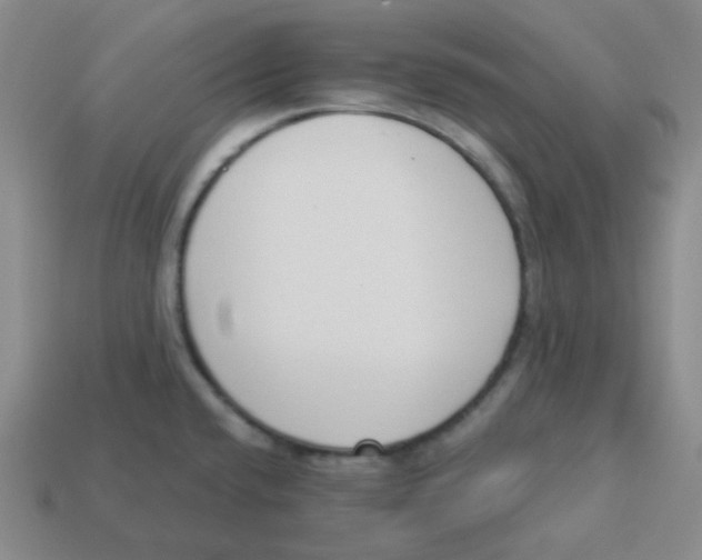 X0000113321432200910131119