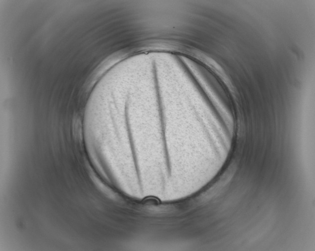 X0000113321433200910131119