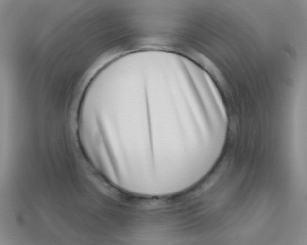 X0000113321435200910131119