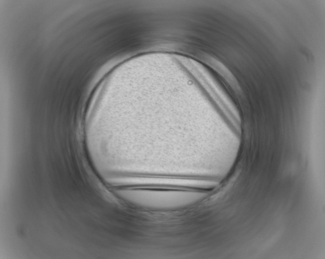 X0000113321436200910131119