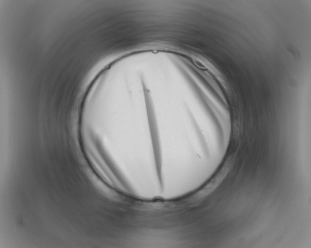 X0000113321438200910131119