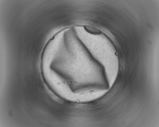 X0000113321439200910131119