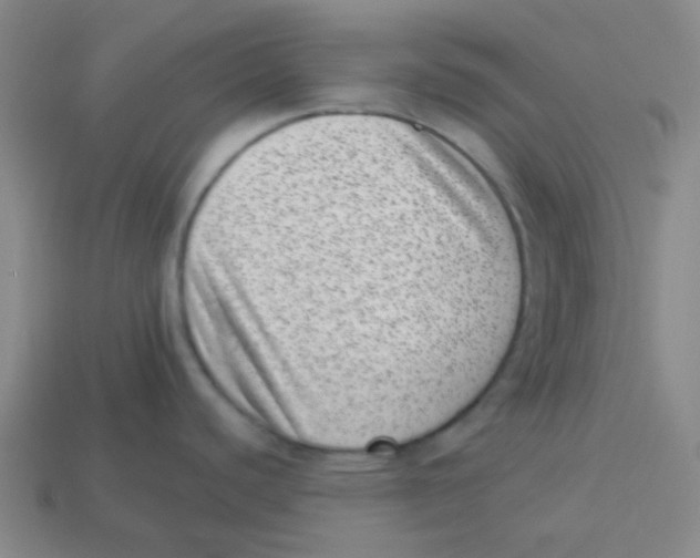 X0000113321440200910131119