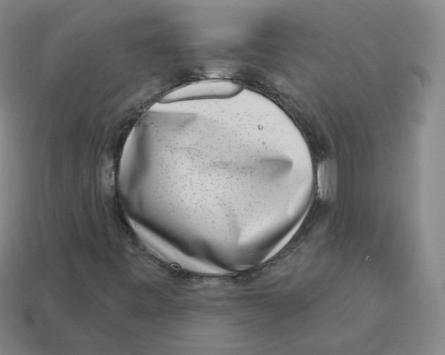 X0000113321443200910131118