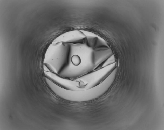 X0000113321444200910131118