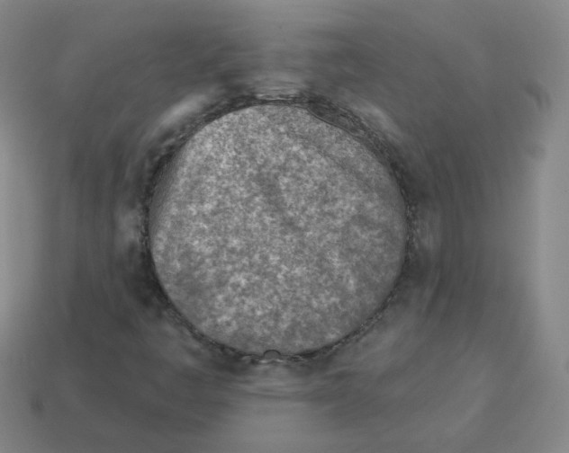 X0000113321445200910131118