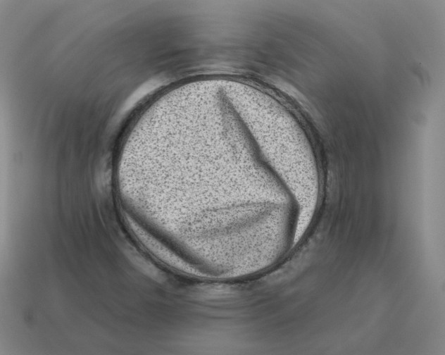 X0000113321450200910131118