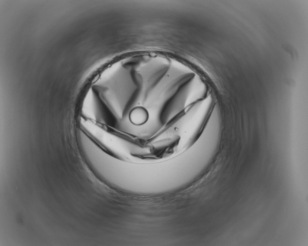 X0000113321452200910131118