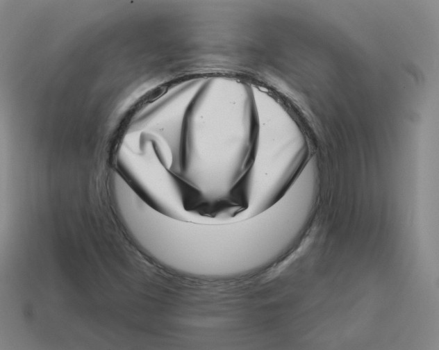 X0000113321453200910131118