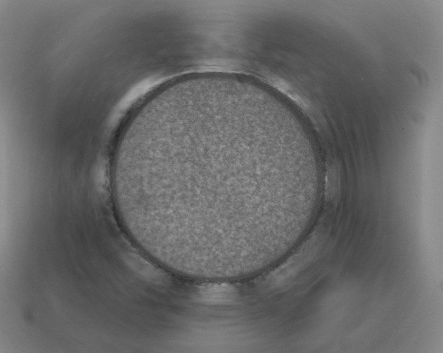 X0000113321454200910131118