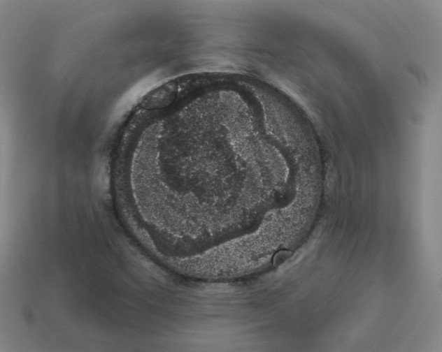 X0000113321455200910131118