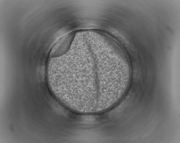 X0000113321457200910131118