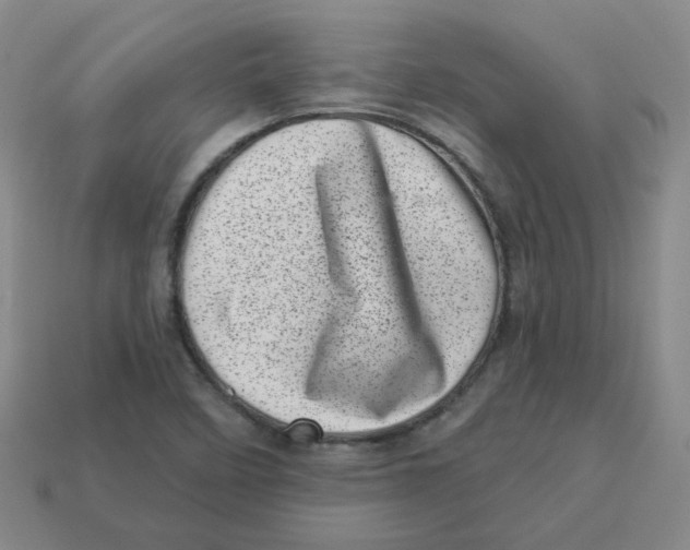 X0000113321458200910131118