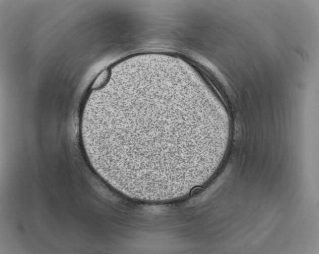 X0000113321461200910131118