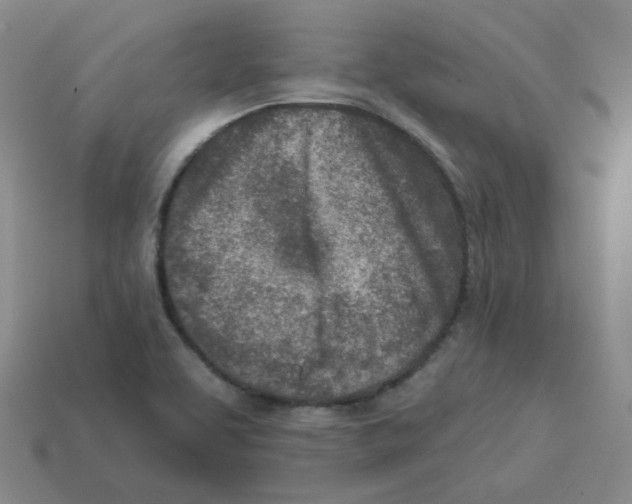 X0000113321463200910131118