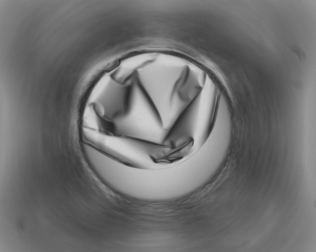 X0000113321464200910131118