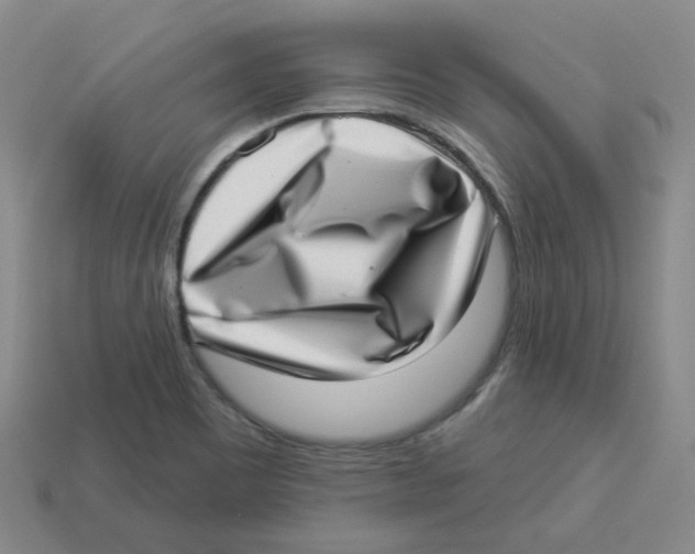 X0000113321465200910131118