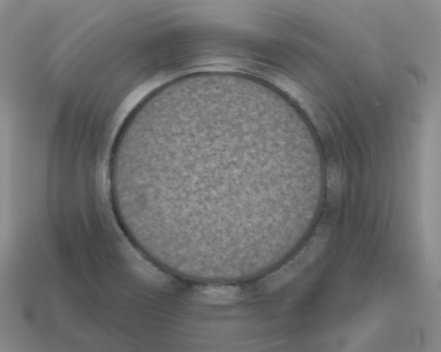 X0000113321466200910131118