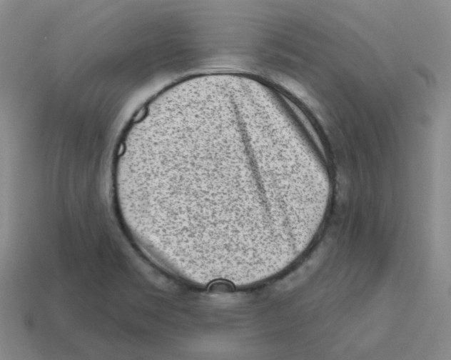 X0000113321469200910131118