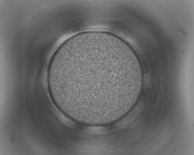 X0000113321470200910131118