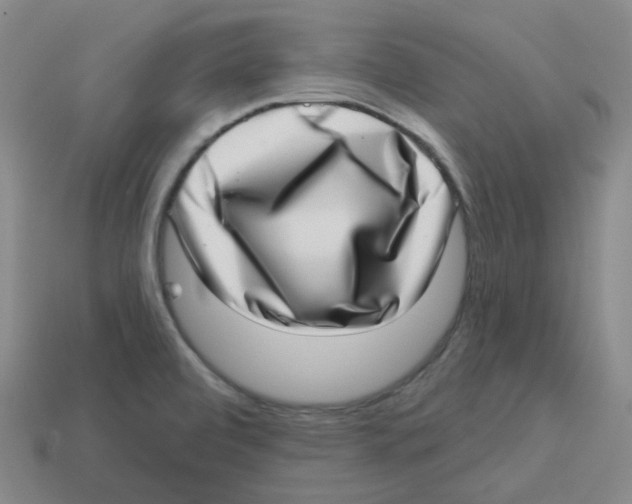 X0000113321472200910131118