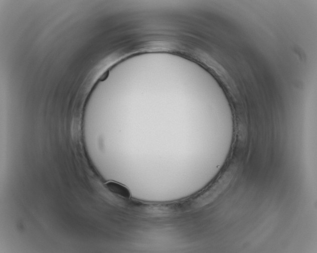 X0000113321473200910131118