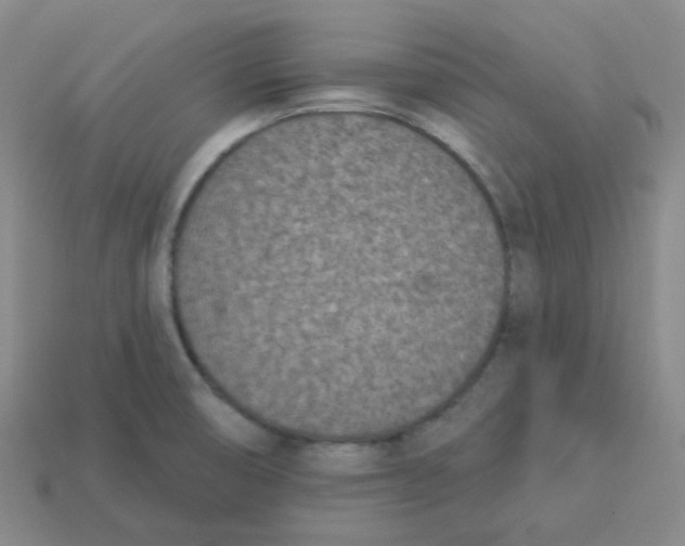 X0000113321474200910131118