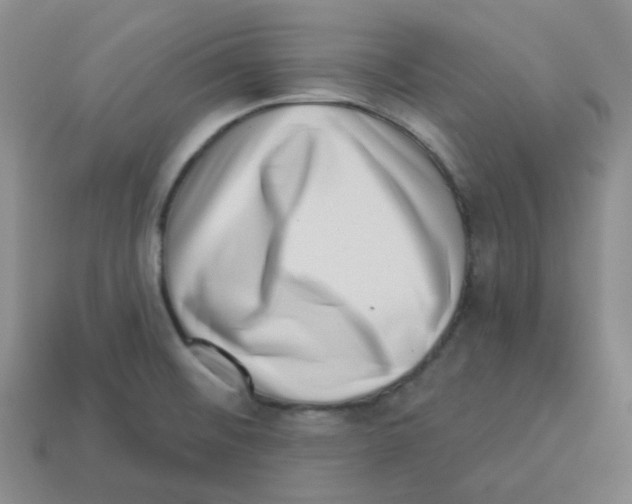 X0000113321476200910131118