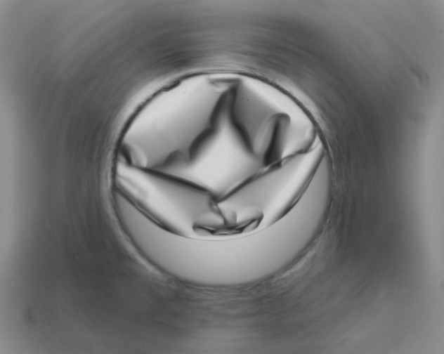 X0000113321477200910131118