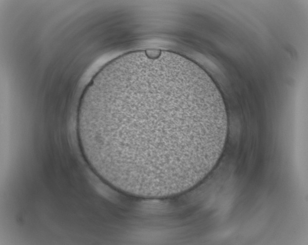 X0000113321478200910131118