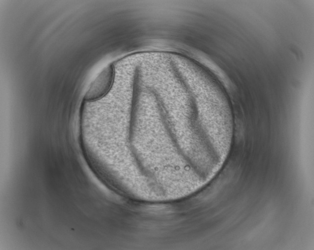 X0000113321479200910131118