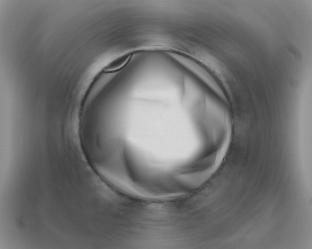 X0000113321480200910131118