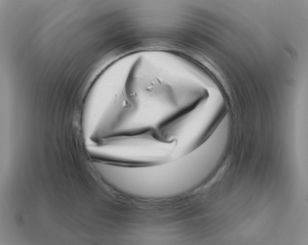 X0000113321481200910131118