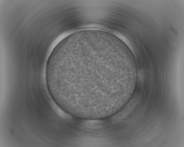 X0000113321482200910131118