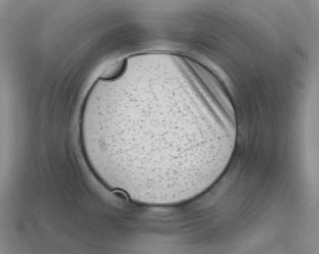 X0000113321483200910131118