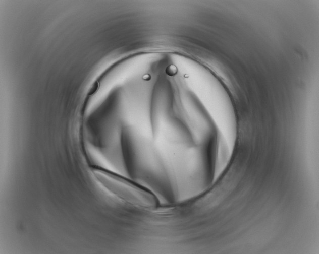 X0000113321484200910131118