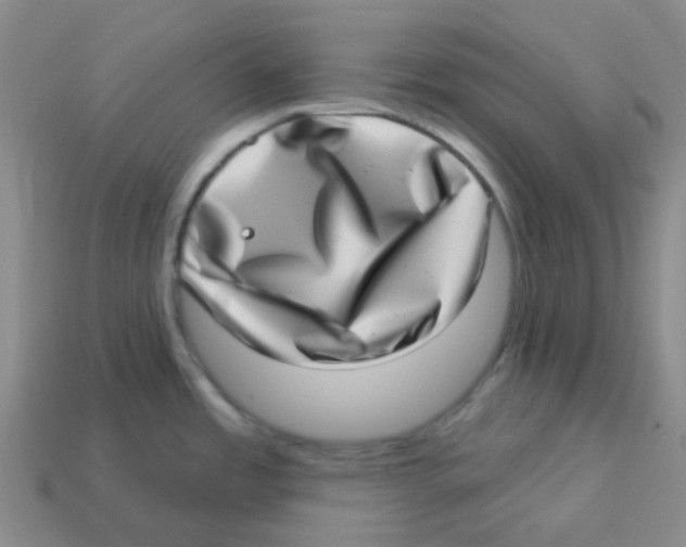 X0000113321485200910131118