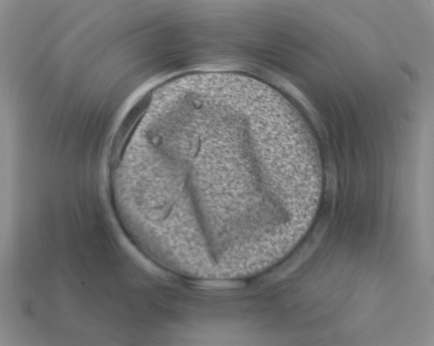 X0000113321487200910131118