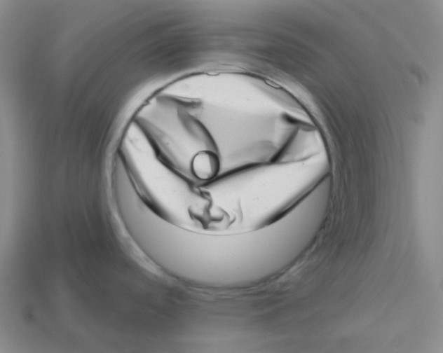 X0000113321488200910131118