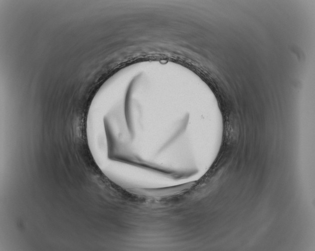 X0000113321490200910131117