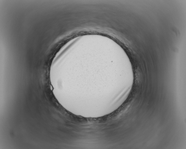 X0000113321494200910131117