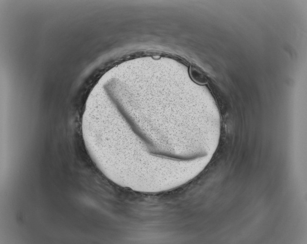 X0000113321495200910131117